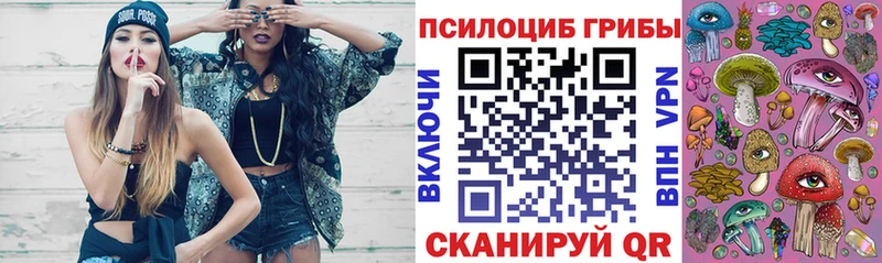 Псилоцибиновые грибы GOLDEN TEACHER  KRAKEN вход  Мензелинск 